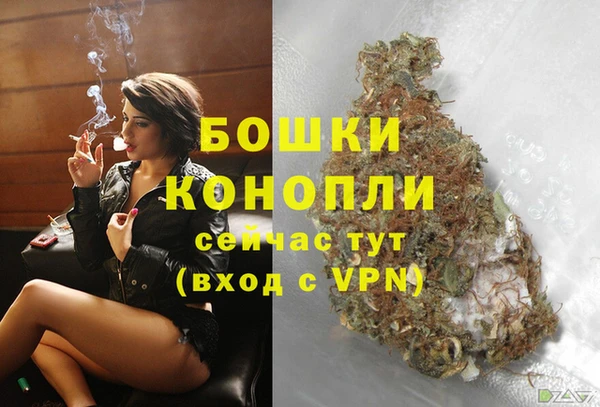 прущие грибы Протвино