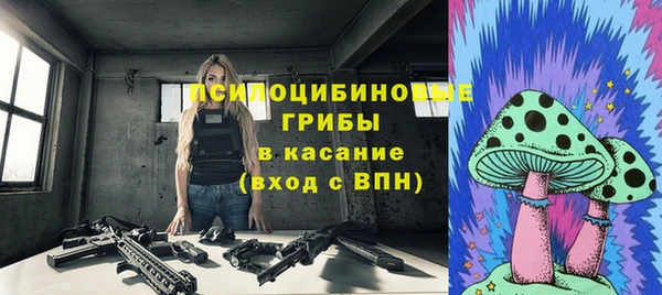 прущие крисы Абаза