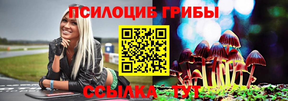 Галлюциногенные грибы Psilocybe  Галлюциногенные грибы мухоморы  Абинск  наркота  Вход с VPN 